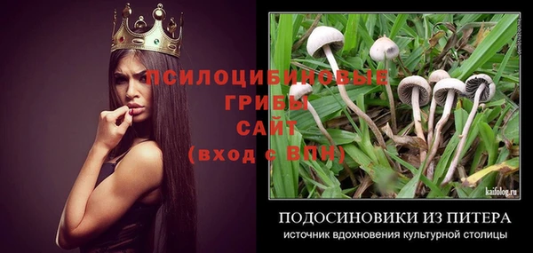 2c-b Михайловск