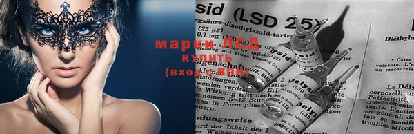 крисы Михайлов