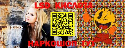 хмурый Донской