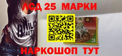 гашик Дубна