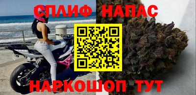 хмурый Донской