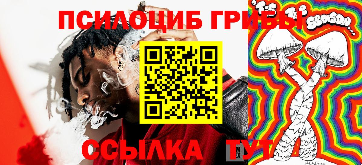 Псилоцибиновые грибы мицелий Уссурийск